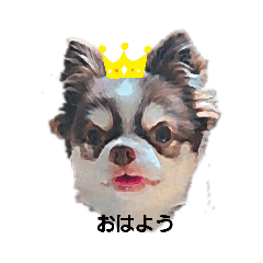 Sayuri_20200425123527