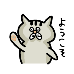 Nyatajiro of cat