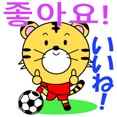 Korean football tiger