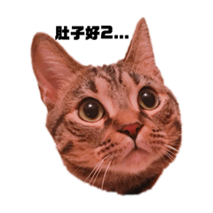 阿西萬年如一日的表情