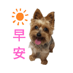 你是我的巧克力