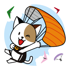 Cute cat and paraglider