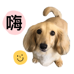 妮妮日常打氣療癒