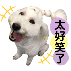 粉紅與朋友生活2