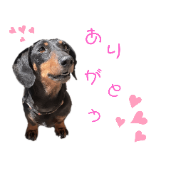 Sherry_20200425154817