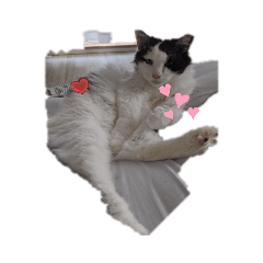 akiko_20200425181506