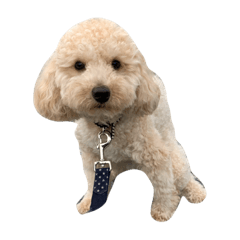 a.noriko_20200425174831