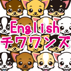 Chihuahuas English & Japanese sticker