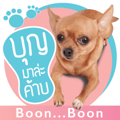 BoonBoon of beeboobay