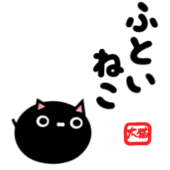 Futomome black cat
