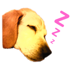 KEN_20200425204410