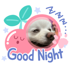 akiko_20200425221901