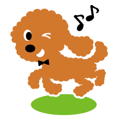 A lovely toy poodle(apricot.)