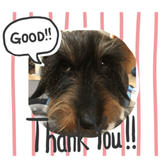 cocoa_20200425192831