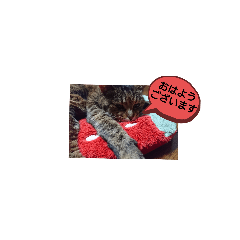 sherry_20200425194757