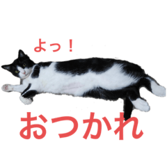 Momochan no stamp(^^)