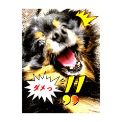 satoshi_20200424233359