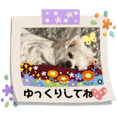 nori_20200425195028noriko