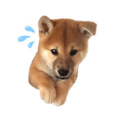 yamada_20200426081013