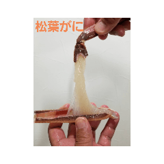 takashi_20200426104955