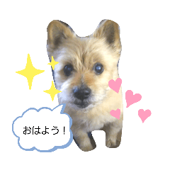 saya_20200426085946