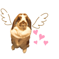 SUMIRE_20200426111219