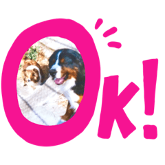 HIKARI_20200426122759