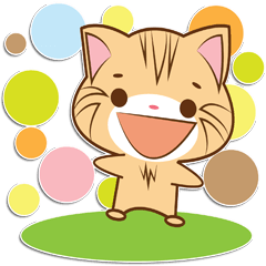 Shiro The Amazing Cat
