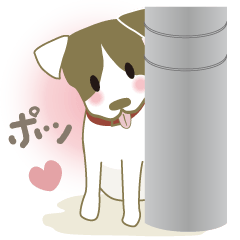 Jack Russell Terrier dog shy ver.2