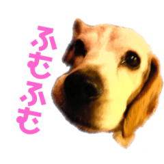 KEN_20200426152015