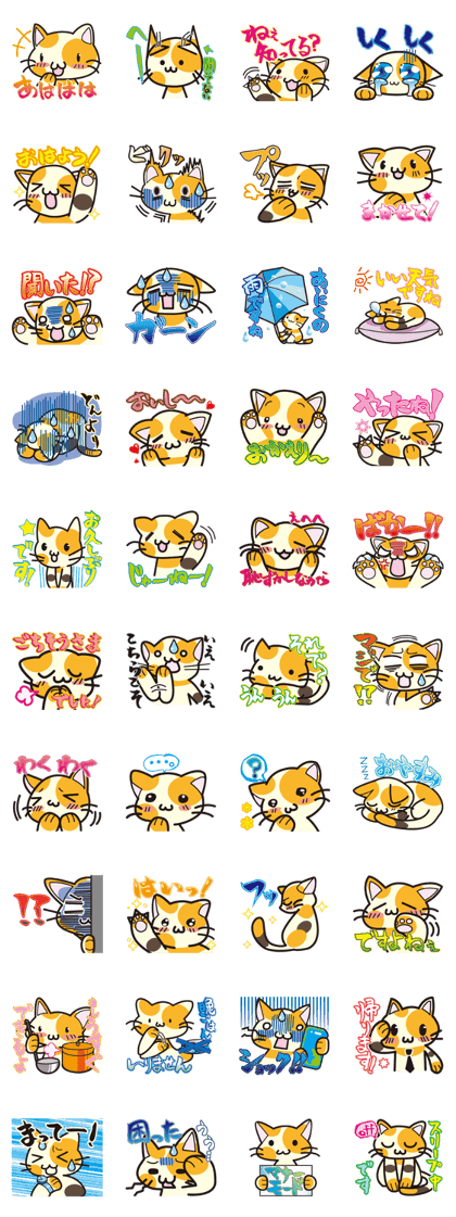 cat & japanese message