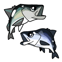 sea bass sea perch sticker