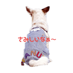 monaka_20200426182917