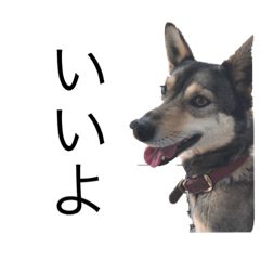 YAMADA_20200426190216