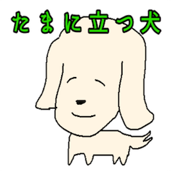 sometimes stand up dog