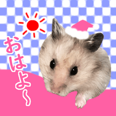 Hamster Sticker created by MoeMi