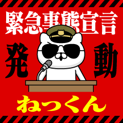 "NEKKUN" Name/Emergency