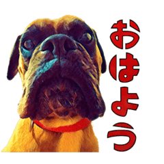 Kaito_20200426200707