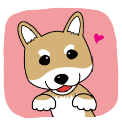 Shiba Inu colon of cute everyday Sticker