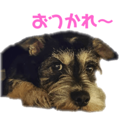 KEN_20200426211209