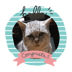 Ryuki_20200426204153