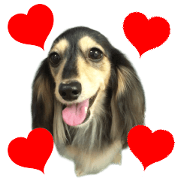 Dog Very cute Sticker