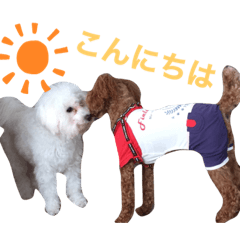 asuka_20200426220055