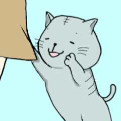 KINDNESS ANIMALS