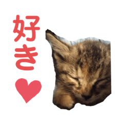 キュートなcatスタンプ