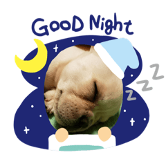 わが家のレオ君！