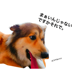 ken_20200426211456