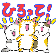 Three cheerfull cats