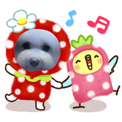 kazumi_20200426152135