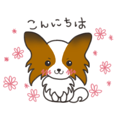Temari the papillon dog illustration 1